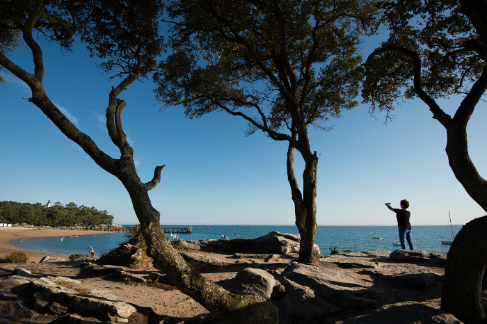 Le Bois de la Chaise - Forêt de l'Île de Noirmoutier